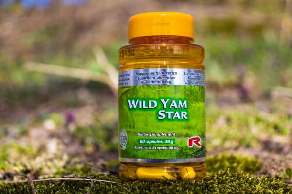 Wild yam star
