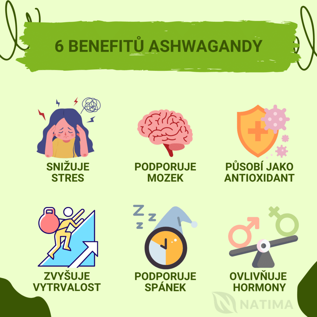 6 BENEFITU ASHWAGANDY1