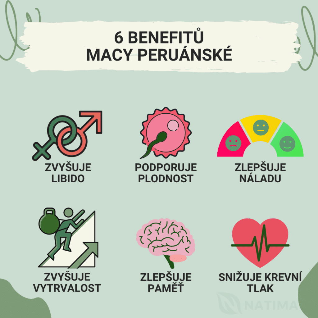 Benefity Natios Maca CZ1