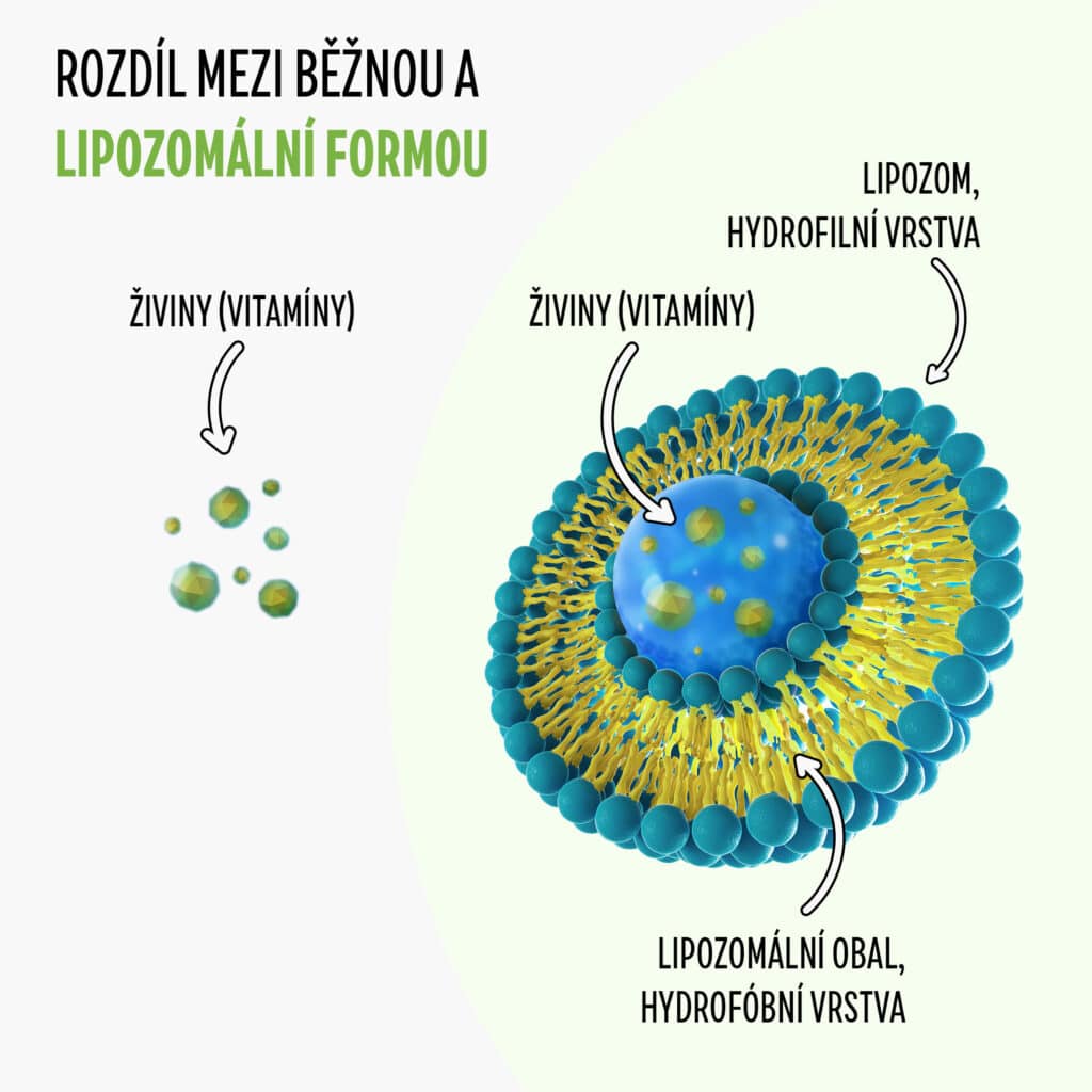 immunity booster lipo2 1