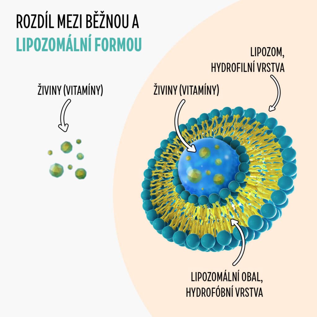 immunity kids produkt liposom2 3
