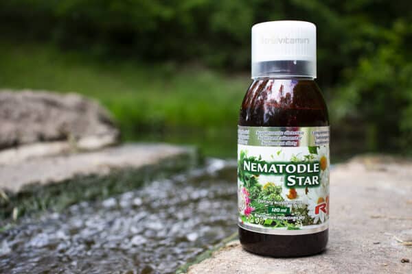 Nematodle star