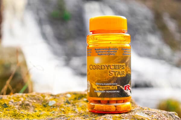 Starlife CORDYCEPS STAR 60 kapslí 2 cordyceps star