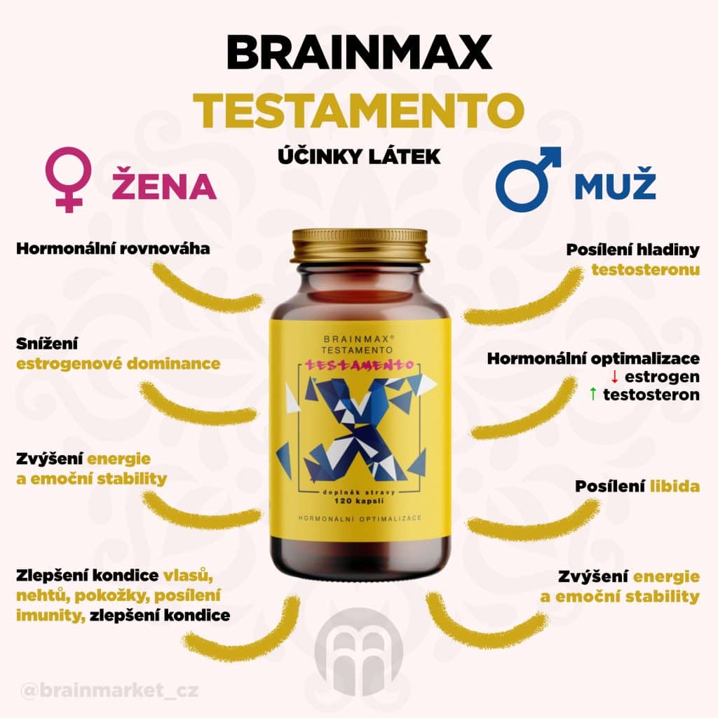 BrainMax Testamento 120 kapslí 2 TESTAMENTO pavouk cz