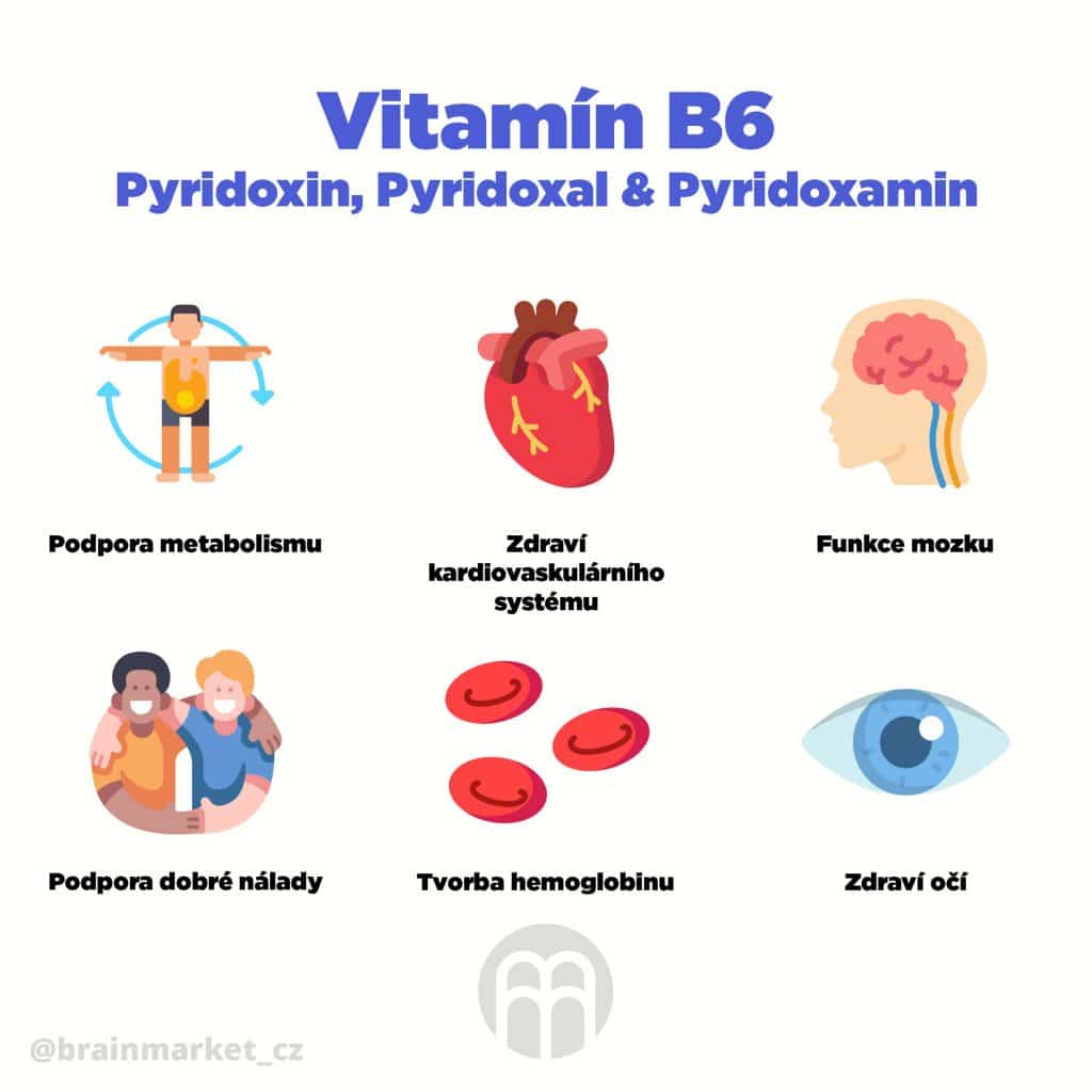 BrainMax Performance Magnesium 100 kapslí 7 Vitamin B6 pyridoxin infografika brainmarket CZ