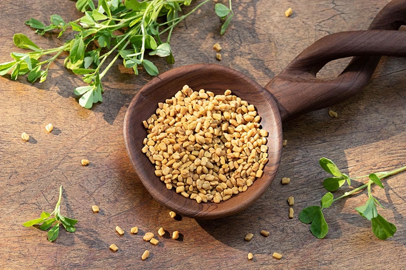 NATIOS Fenugreek & Blessed Thistle Extract 120 kapslí 5 Piskavice foto min1